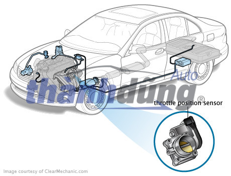 CẢM BIẾN BƯỚM GA TOYOTA VIOS 2011 | 781100D061 - Ảnh 5